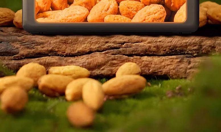 【中国直邮】 绝膳 香榧仁 去壳免剥 每日坚果 诸暨枫桥特产坚果仁罐装零食 80g