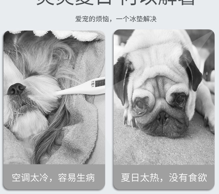 【中国直邮】尾大的喵 宠物冰垫 小骨头图案MD码 夏季睡垫 宠物用品