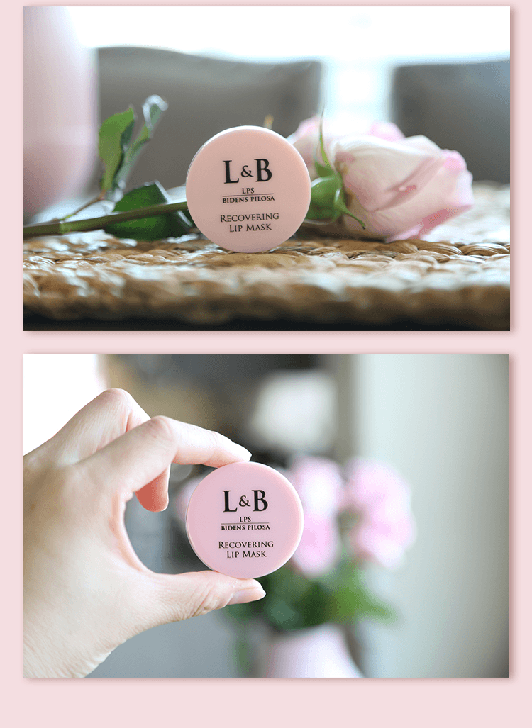 【日本產】UMEKEN L&B 润唇膜【夜间修护淡纹✨】【LPS专利成分🌙】【奶冻质地不黏腻】【打造嘟嘟恋爱唇💋】【🌿 添加植物精华+敏感唇也安心用】