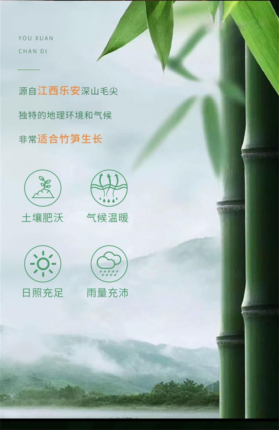 中国直送】仙呉農場筍、新鮮山筍、シャキシャキ筍、柔らか筍