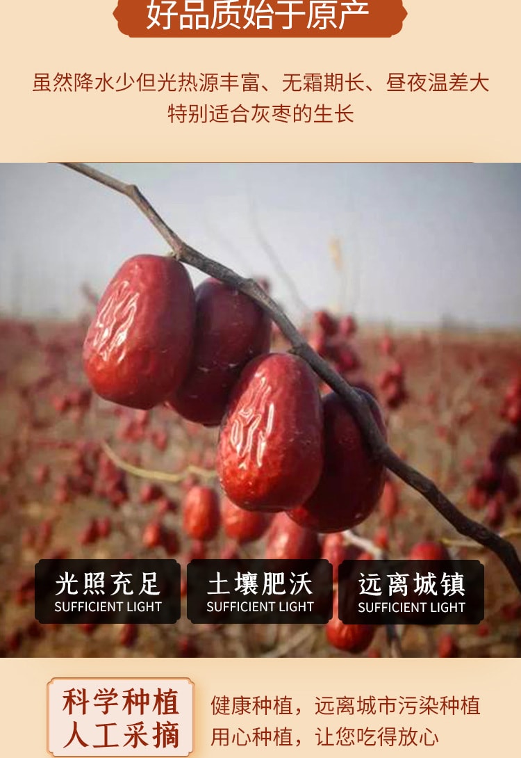 中國 棗致富 新疆紅棗 樓蘭灰棗 500克