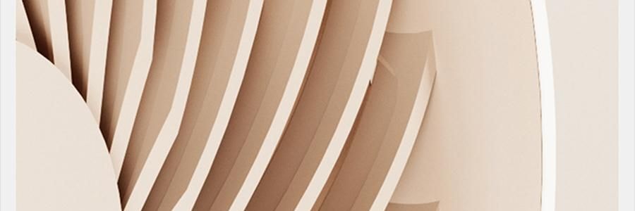 向物SOTHING 桌面循环扇 小风扇 夏日清凉小物 漩凉 续航版