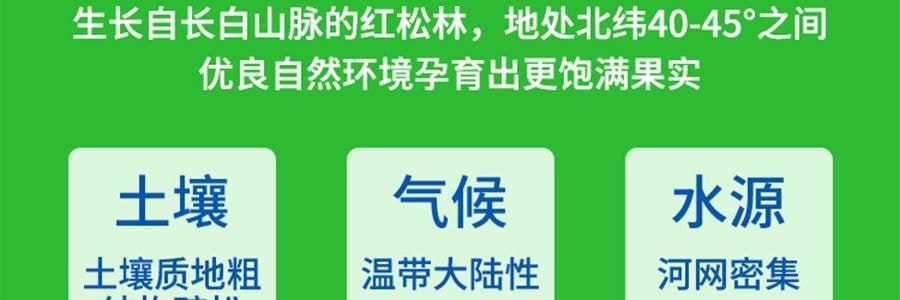 盒马 芥末味松子仁 坚果零食 190g【清爽非油炸】【亚米独家】