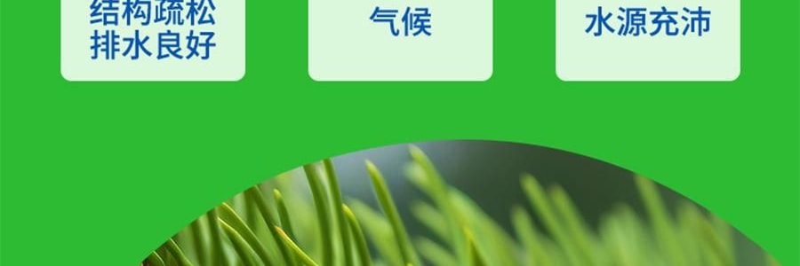 盒马 芥末味松子仁 坚果零食 190g【清爽非油炸】【亚米独家】