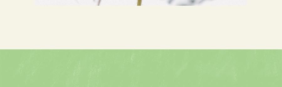 QILI其裡 車用香氛 清冷花香調 矽膠背夾易安裝 霧與蓮 3g*2