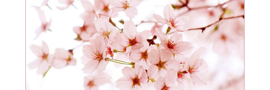 日本POLA 小野樱花花园沐浴露 温和香氛沐浴乳 保湿滋润 500ml