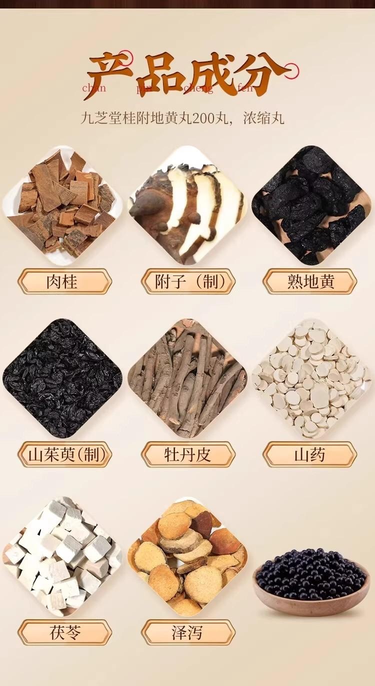 【中国直邮】 九芝堂 桂附地黄丸200丸/盒 5盒 浓缩丸 温补肾阳 专科用药 腰膝酸软 肢冷尿频