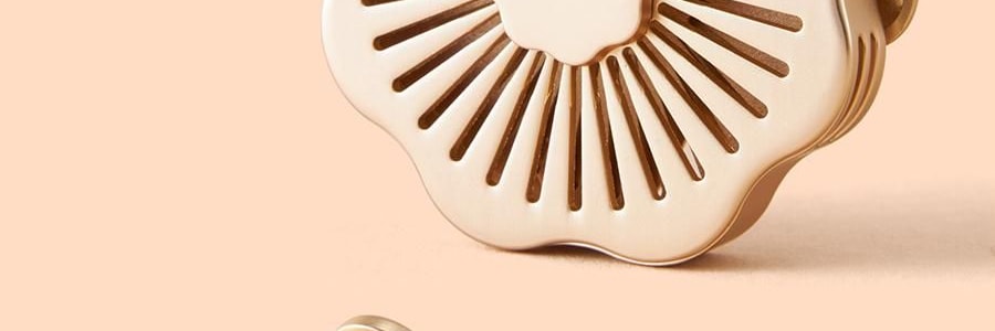 Aromathérapie de Voiture Multifonctionnelle, Pendentif de Voiture Parfum Longue Durée - Fortune Inattendue