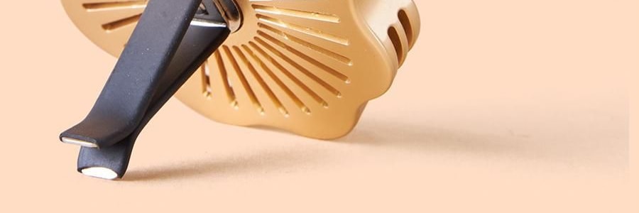 Aromathérapie de Voiture Multifonctionnelle, Pendentif de Voiture Parfum Longue Durée - Fortune Inattendue