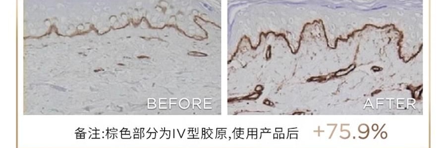 GALENIC科蘭黎 雪藻乳霜 50ml 源頭抗老 淡紋飽滿煥發 【李佳琦同款推薦】