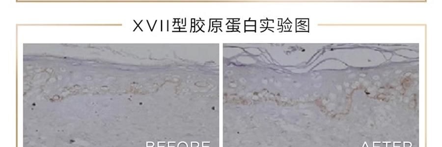GALENIC科蘭黎 雪藻乳霜 50ml 源頭抗老 淡紋飽滿煥發 【李佳琦同款推薦】