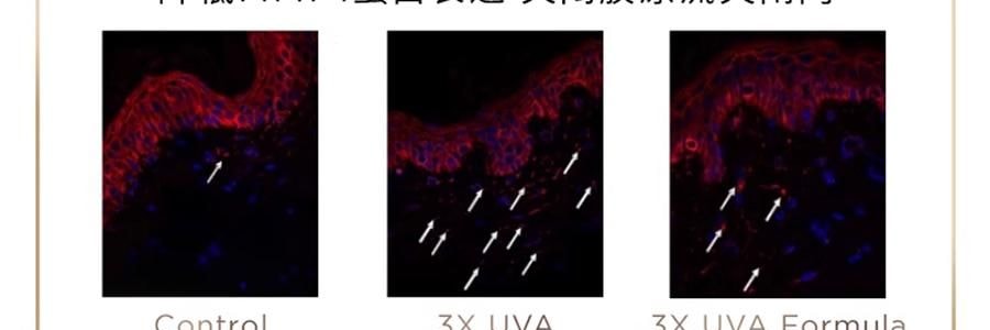 GALENIC科蘭黎 雪藻乳霜 50ml 源頭抗老 淡紋飽滿煥發 【李佳琦同款推薦】