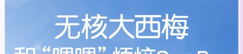 【中國直郵】 孕味食足 西梅干蜜餞果乾孕婦解饞零食(原味+酸味+無核)3袋裝