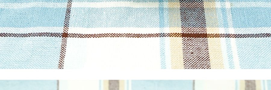 五芳齋 綠豆花生蓮子粽 嘉興粽子 6枚入 300g【中華老字號】