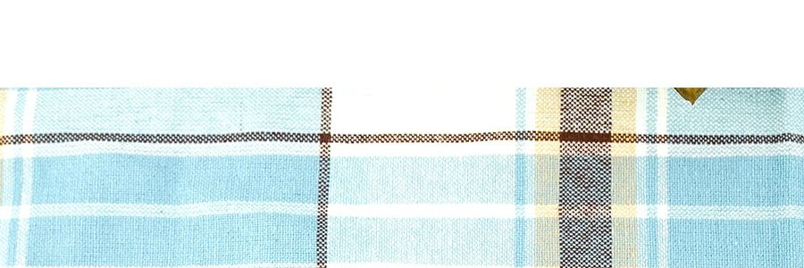 五芳齋 綠豆花生蓮子粽 嘉興粽子 6枚入 300g【中華老字號】