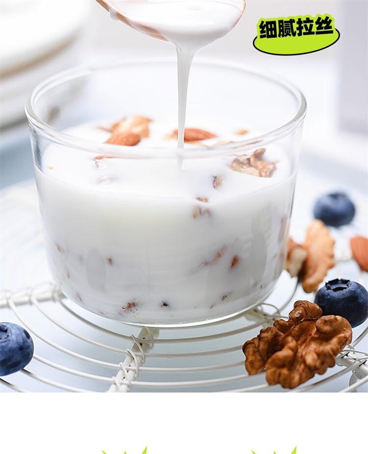 【中国直邮】 百钻 酸奶发酵剂99菌  家用自制酸奶发酵剂菌种双歧杆菌益生菌粉  20g