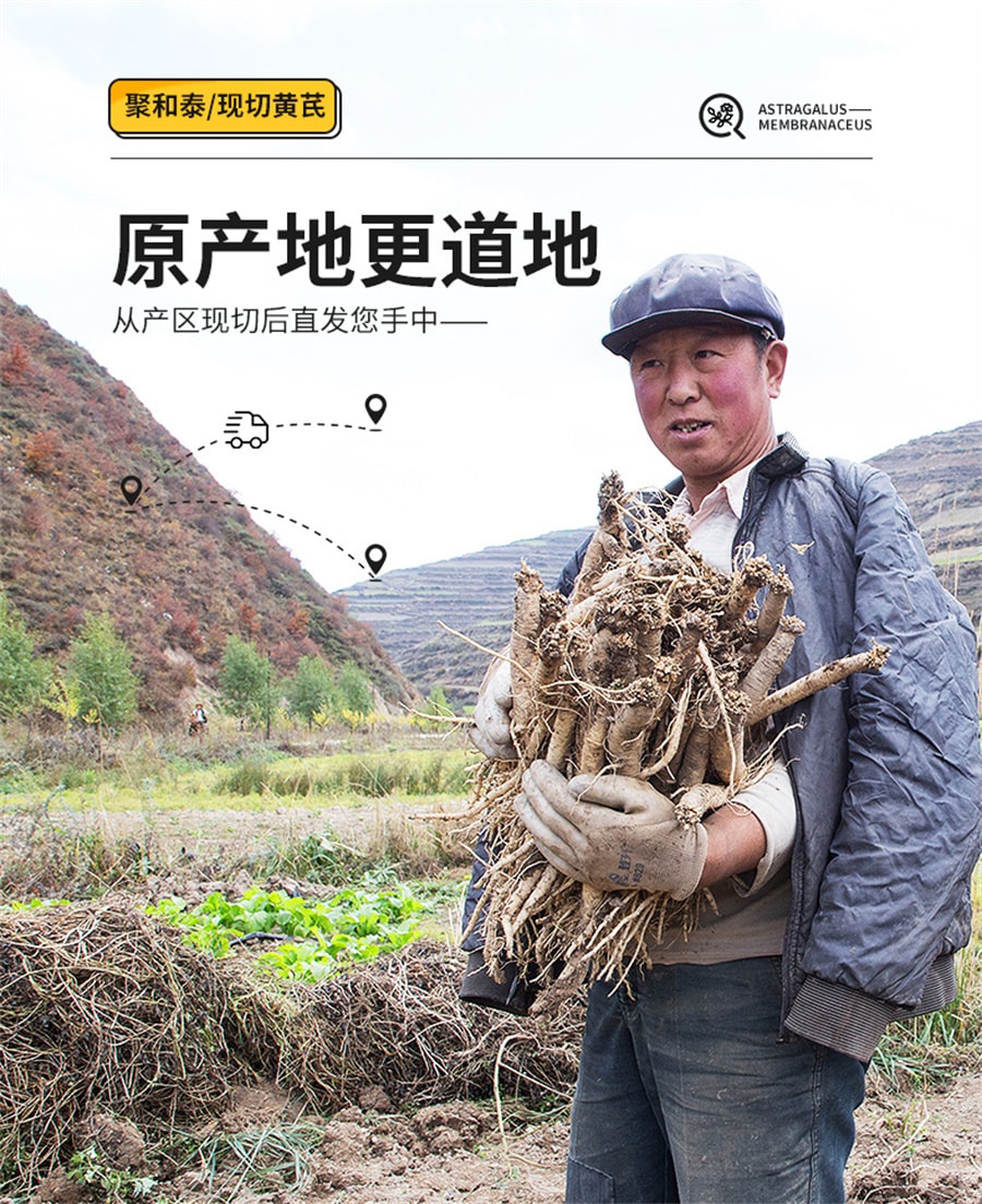 【中国直邮】聚和泰 黄芪野生特级黄氏正品北芪片中药材当归党参茶泡水 500g