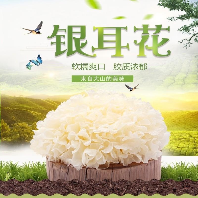【中國直郵】 古松 當季新貨乾貨銀耳花 古田非醜耳白木耳 百合蓮子羹配料 二十年品牌 大花銀耳乾貨特產無硫好出膠大朵銀耳涼拌煲湯糯雪耳 銀耳花128g