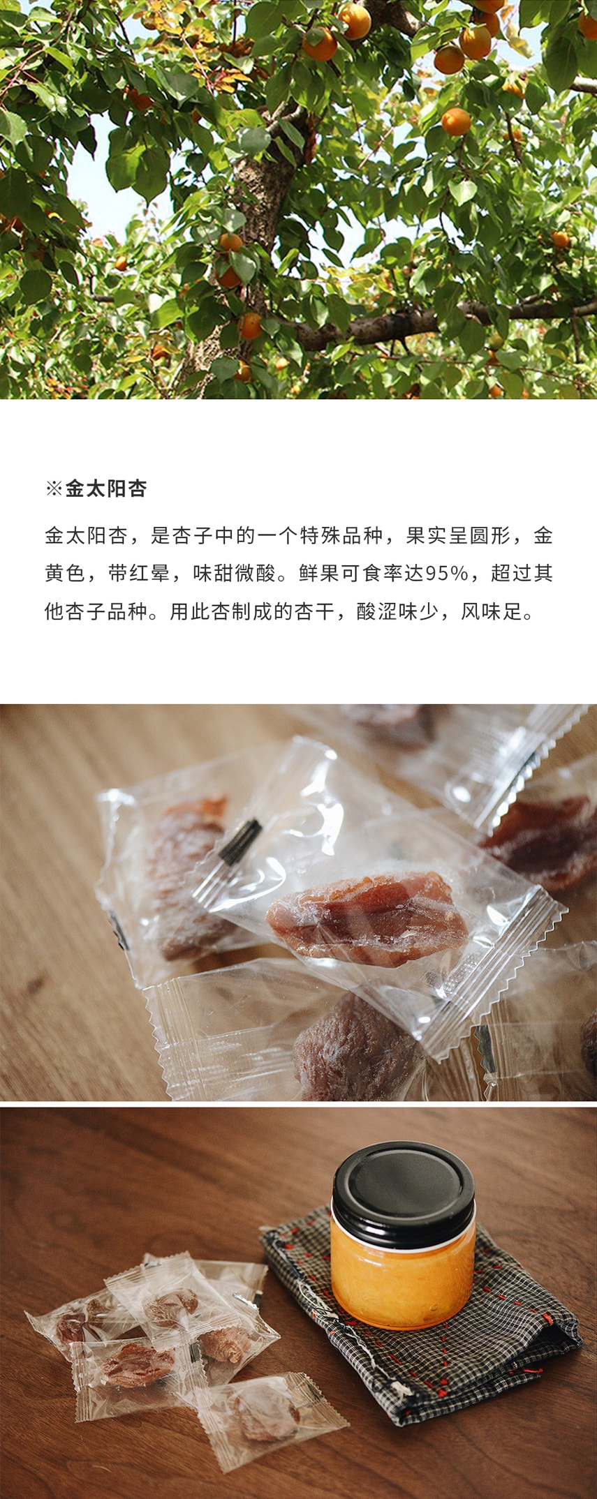 【甄味果乾】金杏乾 250克 自然熟成 茶點零食 無添加 南食召品牌