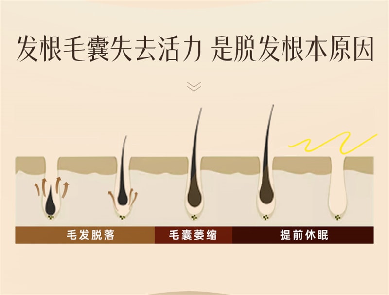 【中國直郵】 儒意 生薑防脫洗髮精 防脫髮固髮控油蓬鬆洗髮露 男女通用 500ml/瓶