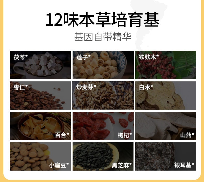 【中國直郵】菌妍本草 銀耳糯耳即食銀耳羹 80克+燜燒杯+銀耳伴侶100克