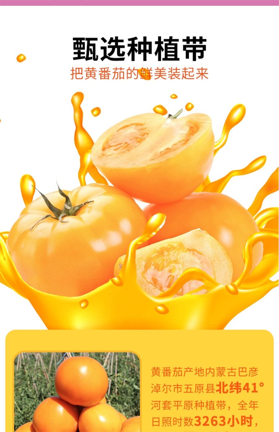 【中国直邮】草原红太阳 番茄火锅底料黄番茄汤料酸辣单人乐享60g/袋