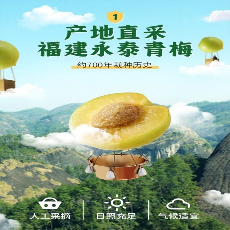 【中国直邮】 华味亨吃不厌话梅358g/袋 苏式话梅 蜜饯果干梅子干酸甜休闲零食