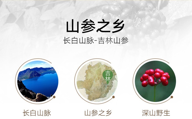 Chinese Ginseng Changbai Mountain Wild Ginseng 1-1.5g