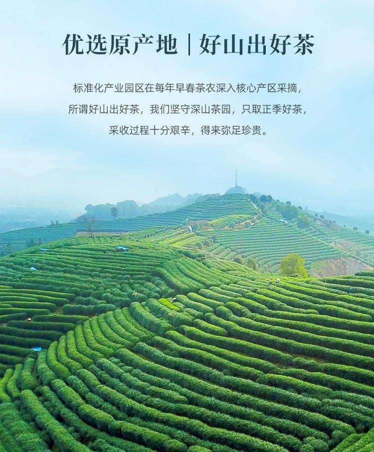 張一元 一級雨前高山綠茶 袋裝 60g