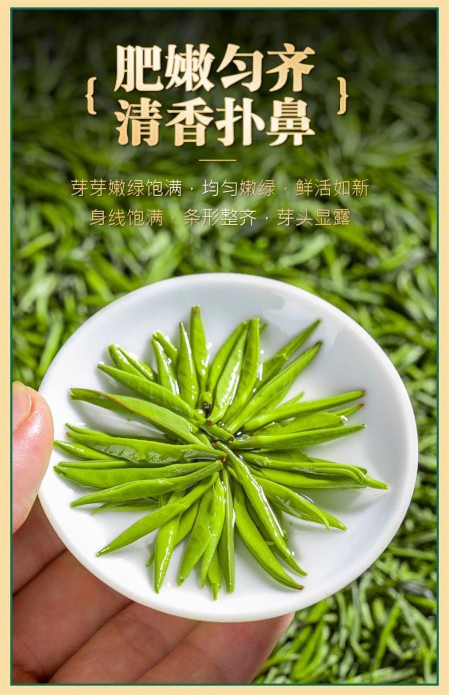 【中國直郵】 中閩峰州 雀舌綠茶 2025新茶明前嫩芽茶葉 特級濃香型木桶禮盒裝 250g/桶