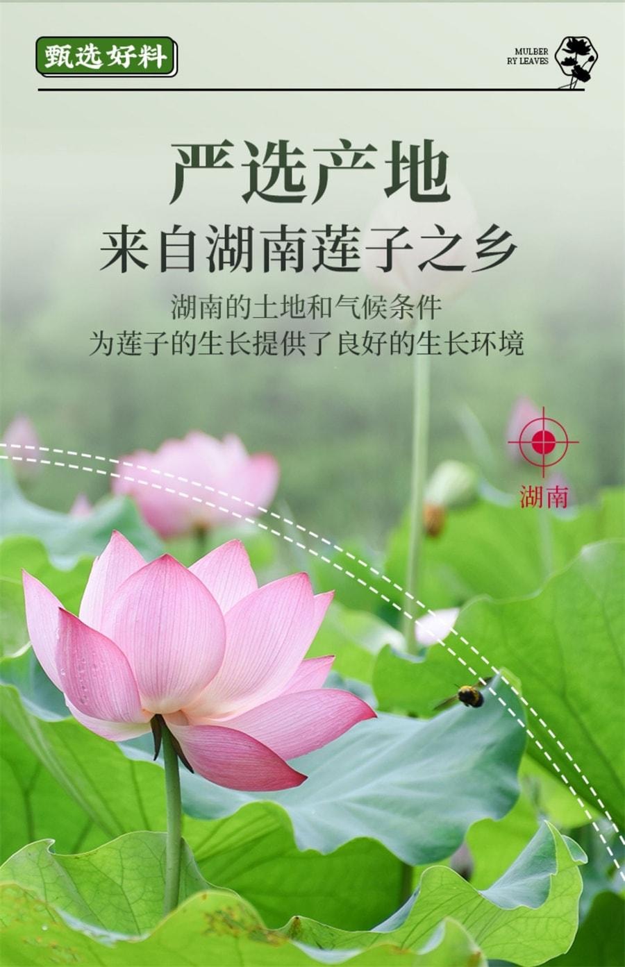 【中國直郵】 岷農人 蓮子心茶 新鮮採收 頭茬蓮子 正品新貨蓮子芯特級乾貨泡水正品 100g/罐