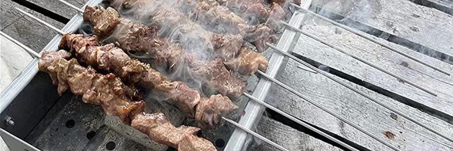 WILLBBQ  小型户外烧烤炉 便携木炭羊肉小碳烤肉串炉烤串炉烤架 长30cm (30x18x13cm)