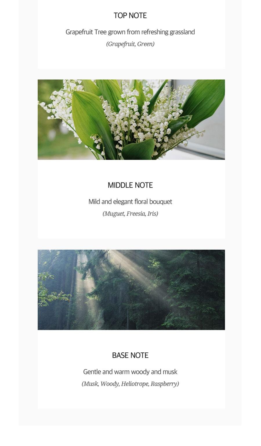 韓國 Dancing Whale 清透潔面泡棉雙件組 – 每瓶120毫升