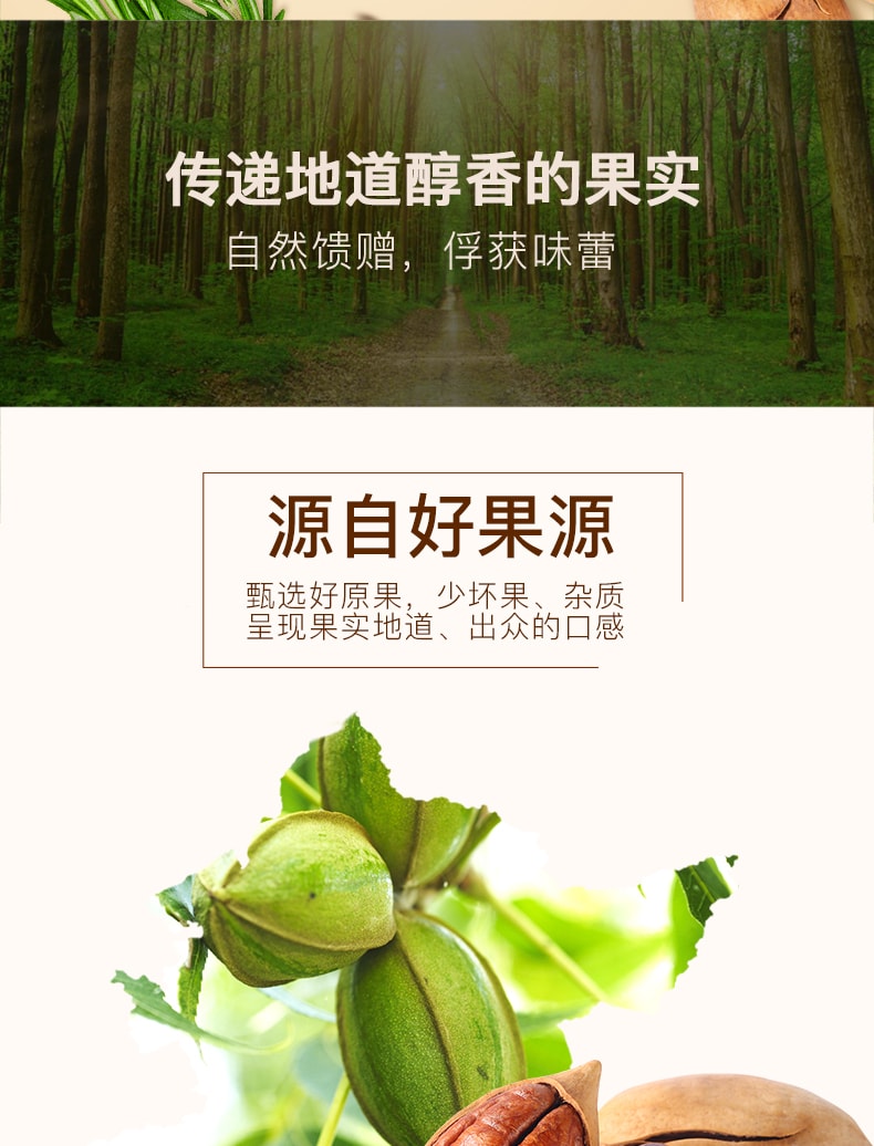 【China Direct Mail】BE&CHEERY Longevity Fruit Pecan 100g