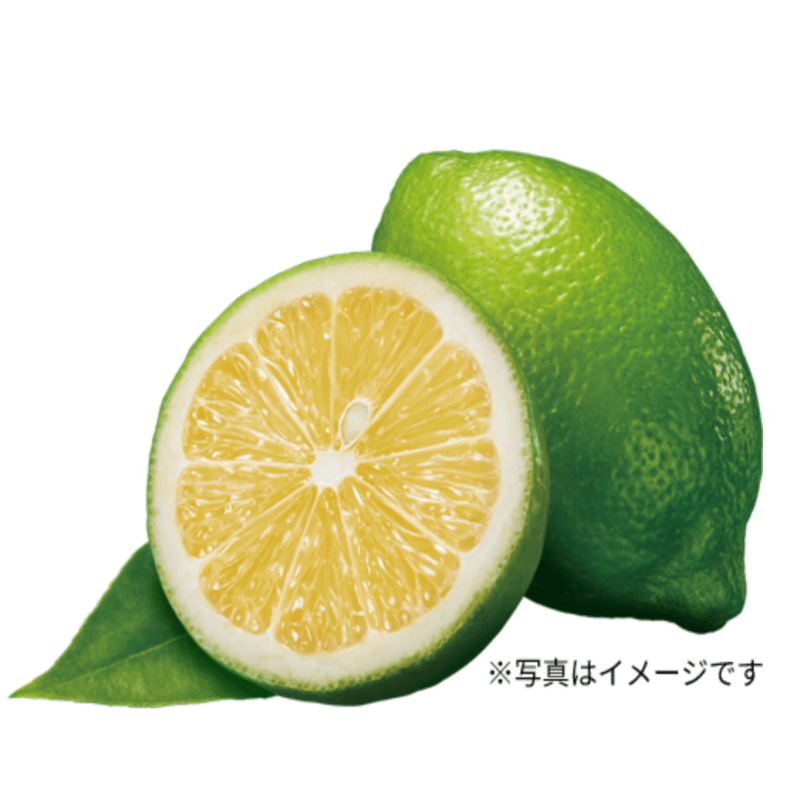 【日本直邮】 KIT KAT地域限定 东京小笠原岛限定 岛柠檬味巧克力威化 10枚装