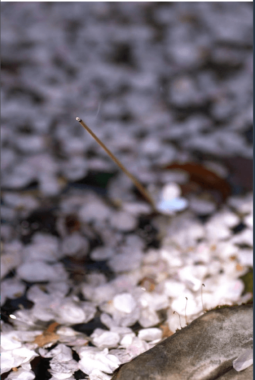 空山時 線香【清幽水生調】龍腦和橙香的結合 25.5cm*30支入 附贈玉石香插*1