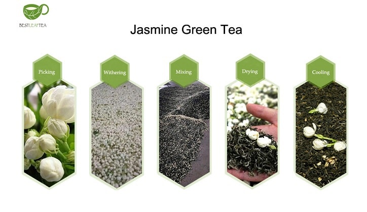 BESTLEAFTEA 2022 新茶茉莉毛峰绿茶 7oz/200g 袋装