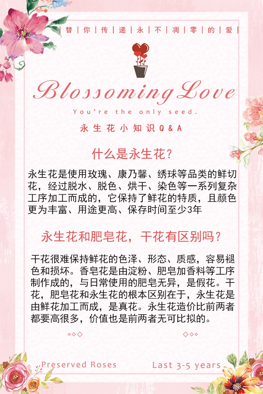 BLOSSOMING LOVE 经典透视开窗小圆盒 红色永生花