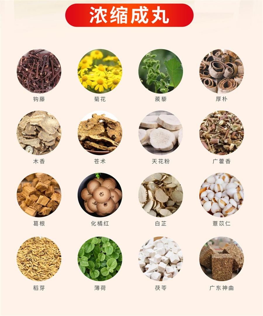 【中國直郵】 王老吉 保全 解表 祛濕 和中6瓶