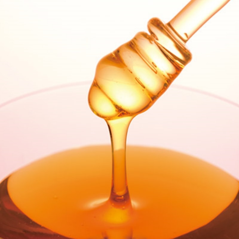 【日本直邮】日本LUPICIA绿碧茶园 2023年限定 YUME 香草蜂蜜 75g