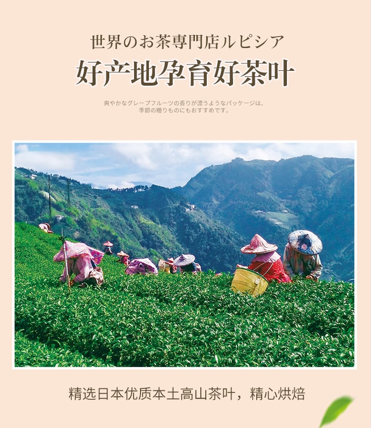 【日本直邮】日本 lupicia绿碧茶园 母亲节限定礼盒  大马士革玫瑰红茶 罐装30g+ 10个茶包