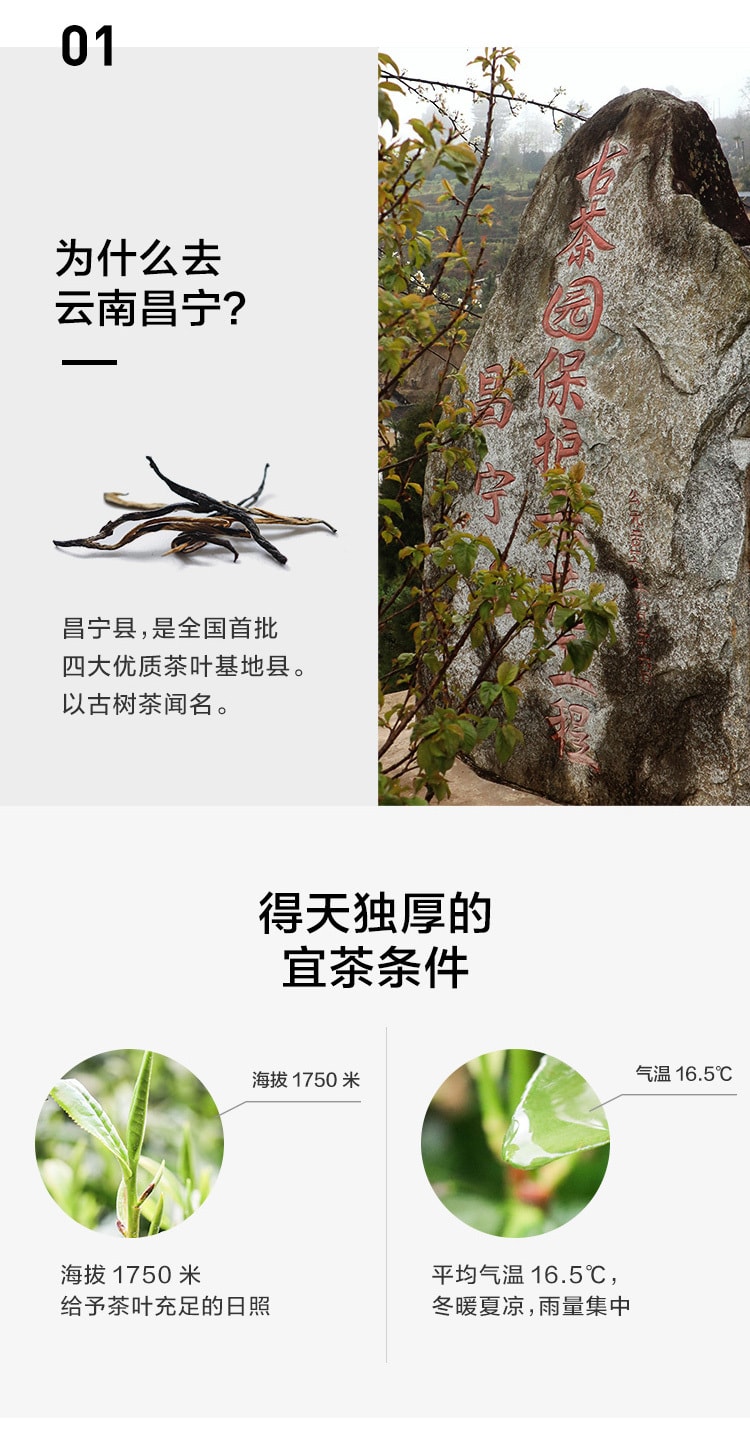 Yunnan premium tea 10 bags