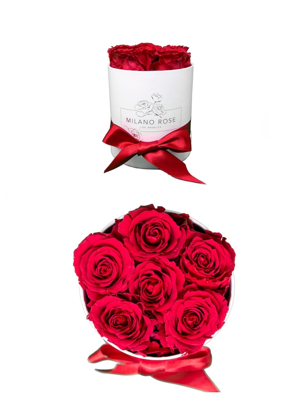 MILANO ROSE 进口永生花礼盒 经典红玫瑰求婚表白送女友七夕情人节礼物 Standard
