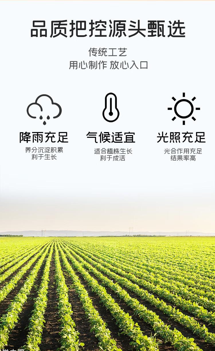 【中国直邮】 富昌 黑豆腐竹200g 原浆腐竹黑豆制品火锅食材凉拌 豆制品 素肉凉拌
