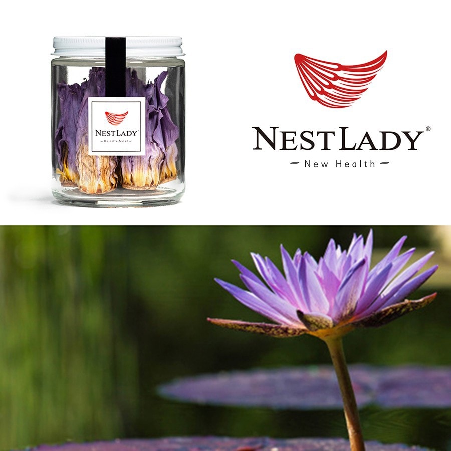 美國NESTLADY 排毒抗氧化 野生紫色睡蓮茶 5~6朵 (0.3oz)