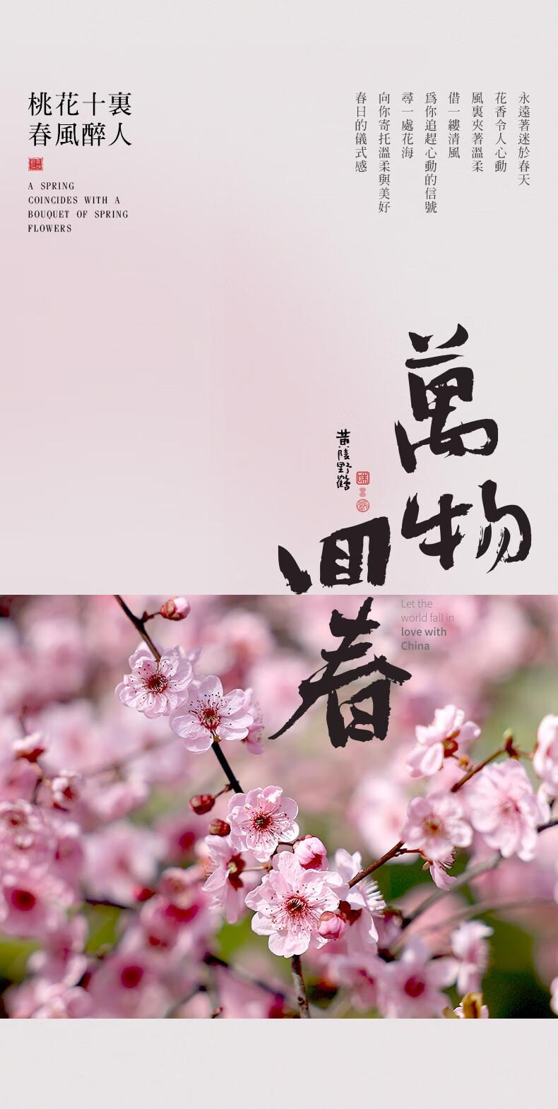 【中国直邮】 知味观 桃花酥山楂馅 杭州中式糕点  零食160g