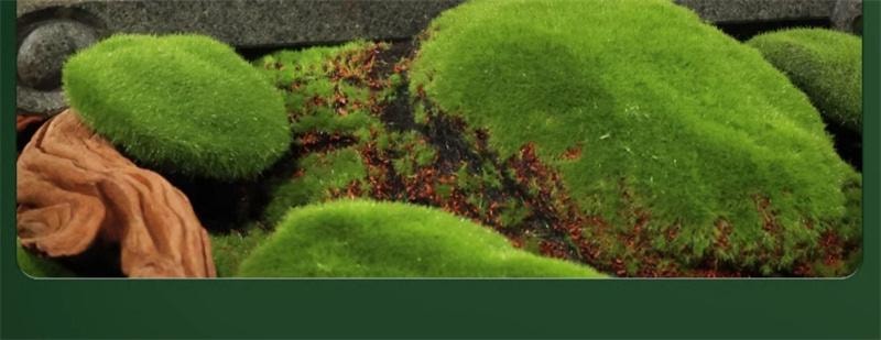 【中國直郵】西湖牌 2025新茶上市西湖龍井 明前特級老茶樹綠茶茶葉散裝春茶 200克