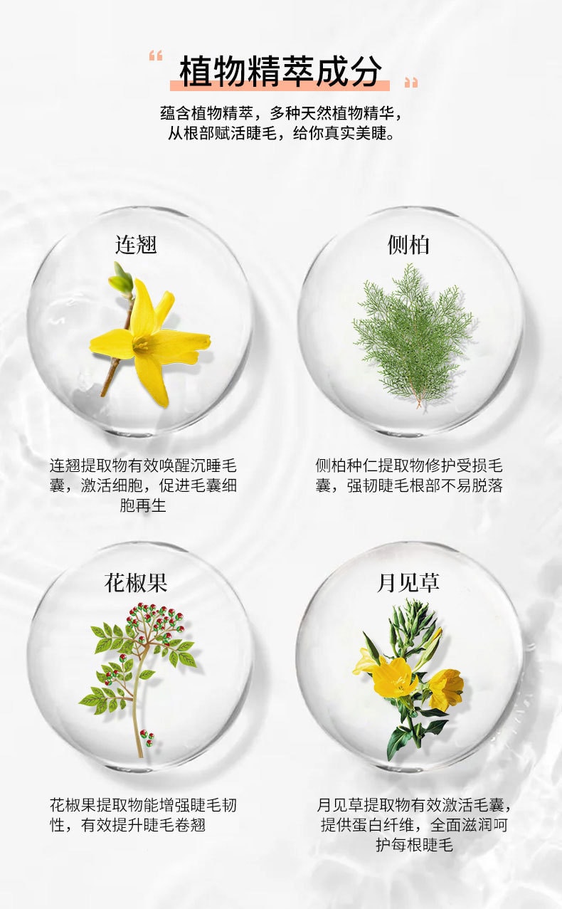 【中国直邮】修正 眉毛滋养精华液 2.5ml