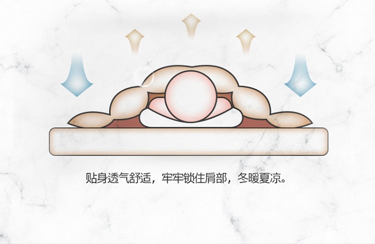 【中国直邮】Lullabuy桑蚕丝被子 100%纯桑蚕丝被芯 白色 Queen Size 2KG