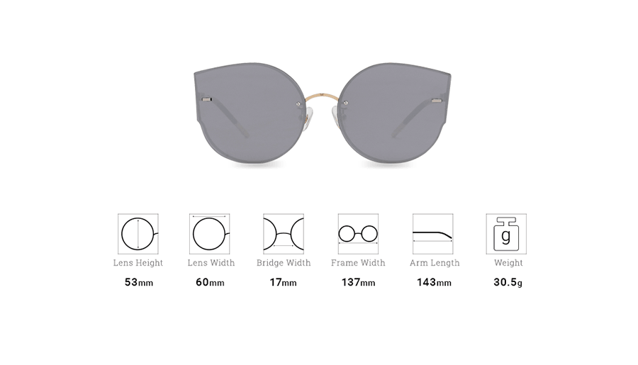 Sunglasses DL85008 C5 Silver